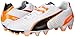 PUMA Men's King II FG Soccer Shoe
