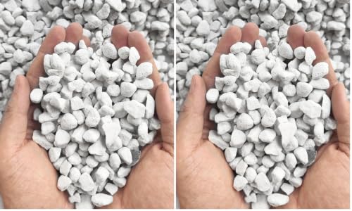 Organic Perlite Horticultural Soil Amendment