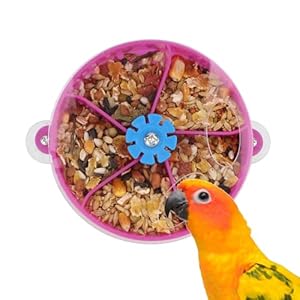 Bird Parrot Foraging Toy Creative Seed Food Ball Rotate Wheel Intelligence Growth Training Toy for Parrot Parakeet Cockatiel Conure Lovebird