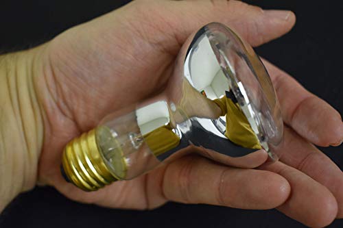 Lava Lamp 100 Watt Replacement Bulb For Lava Grande Motion Lamp #TOP1