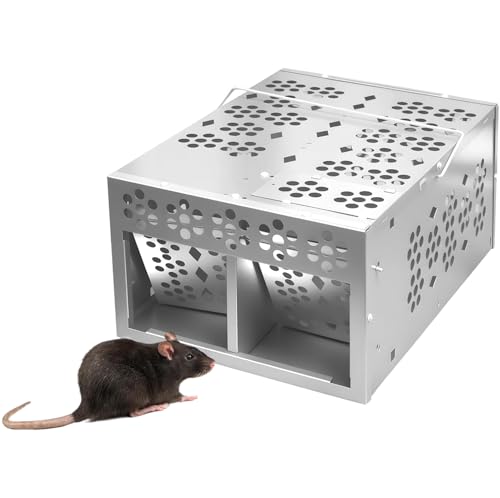 2026 Upgraded Eaglever Mouse Trap Eaglever Rat Trap Stainless Steel Automatic Mousetrap Automatic Rat Trap Automatic Mouse Trap Easy to Set Mice Catcher for Indoor and Outdoor (Double Door 1)