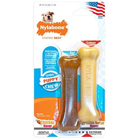 Nylabone Kit para dentición de Cachorros Cover