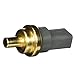 Delphi TS10278 Coolant Temperature Sensor