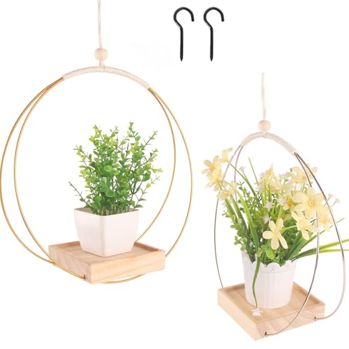 Mailfull Blumenampel Hängend Innen 2 Stück Metallring Hängeampeln mit Holzsockel Hängetopf für Pflanzen für Zimmerpflanzen Sukkulenten Luftpflanzen Kaktus Mailfull Blumenampel Hängend Innen 2 Stück Metallring Hängeampeln mit Holzsockel Hängetopf für Pflanzen für Zimmerpflanzen Sukkulenten Luftpflanzen Kaktus