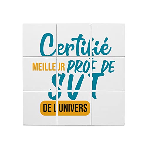 Carreaux céramique décoratif idée cadeau fin d'année : lot 9 pièces professeur SVT