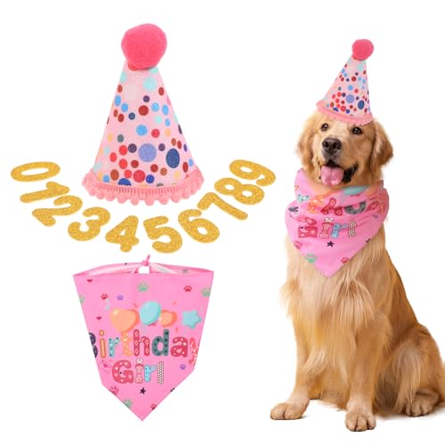 Qianyu Suministros de fiesta de cumpleaños para perro, bufanda de cumpleaños para perro, lindo sombrero de fiesta con números, suministros de decoración de cumpleaños para perros grandes, medianos y