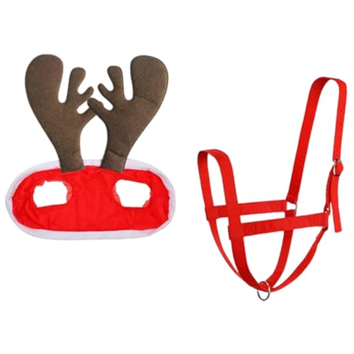 PEWETE npT^Xq np NX}XXqƎj NX}X Lbv Cxg RX`[