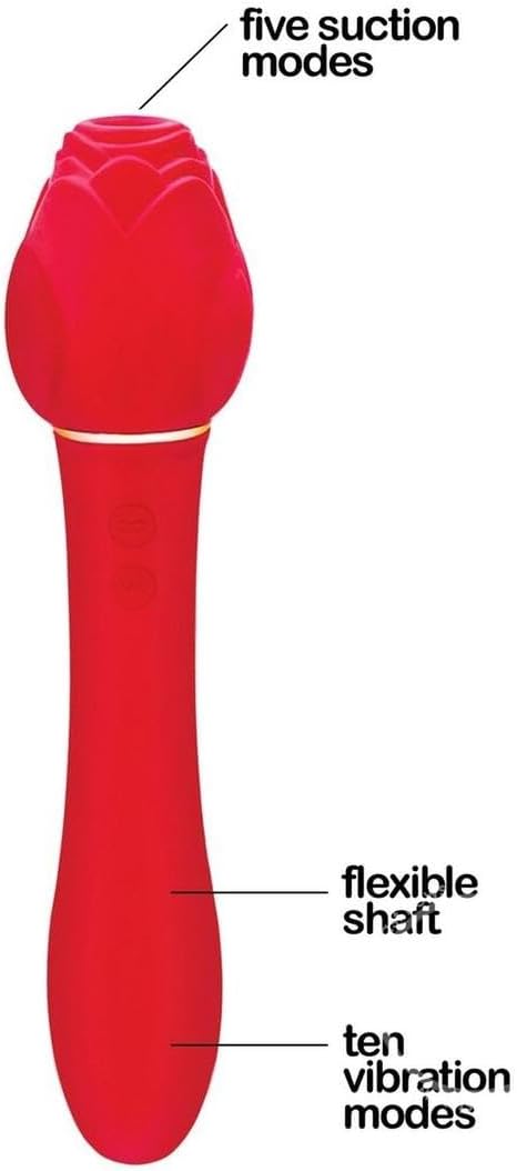 Adult Sex Toy Bundle of Fuck Me/Fuck You Mask and Icon Brands Wild Rose Rechargeable Silicone Suction + Vibrator - Red