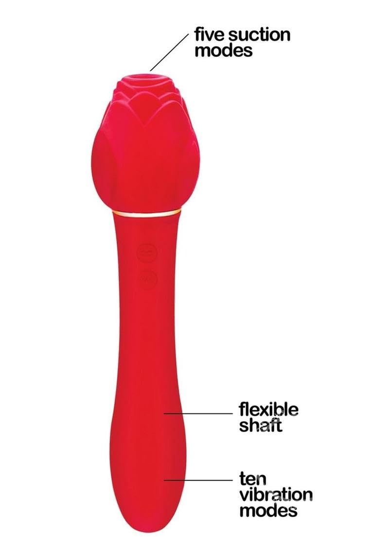 Amazon.com: Adult Sex Toy Bundle of Hey 19! Vibrating Pussy Stroker Jillian  Janson and Icon Brands Wild Rose Rechargeable Silicone Suction + Vibrator -  Red : Health & Household