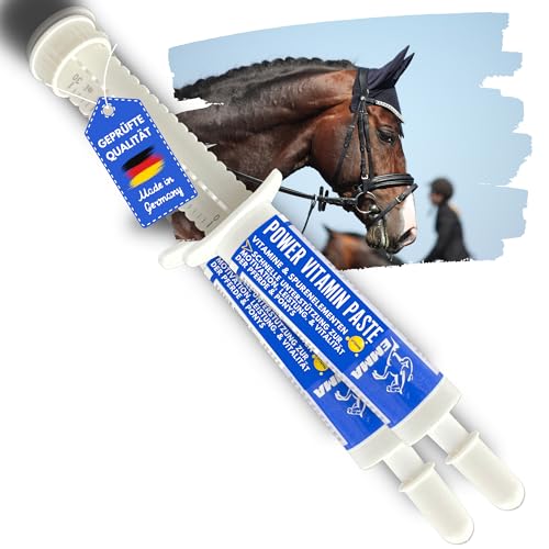 Pasta vitamínica para Caballos 2S