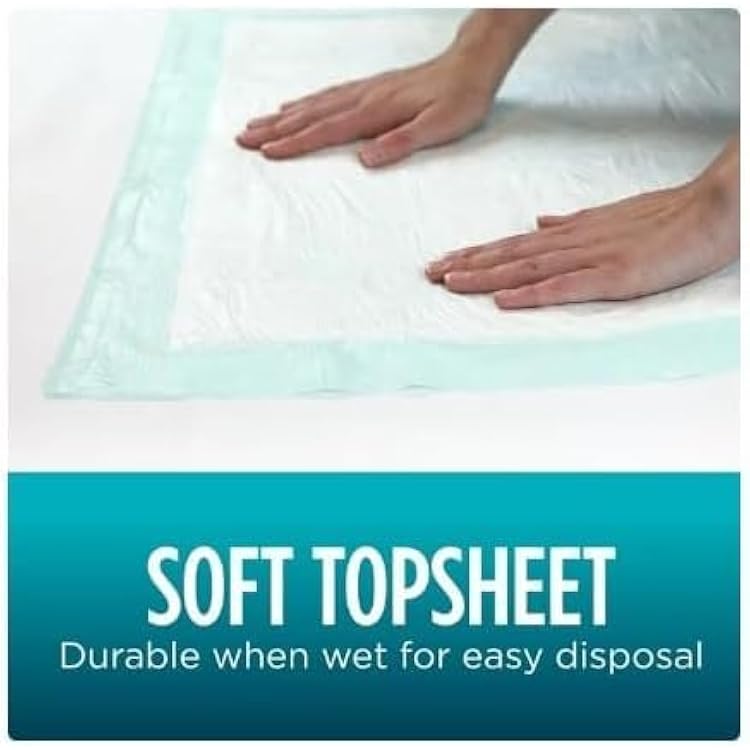 Generic Assurance Unisex Premium Quilted Underpad, Maximum Absorbency, XL 30 Count, (Pack of 1)., White, 10008818