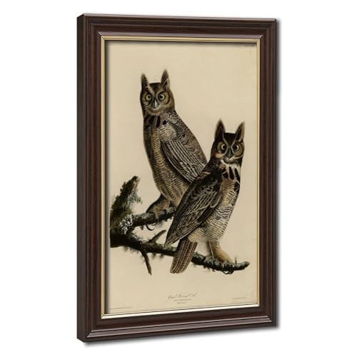 Toile hibou à cornes d'Amérique Audubon impression d'art premium