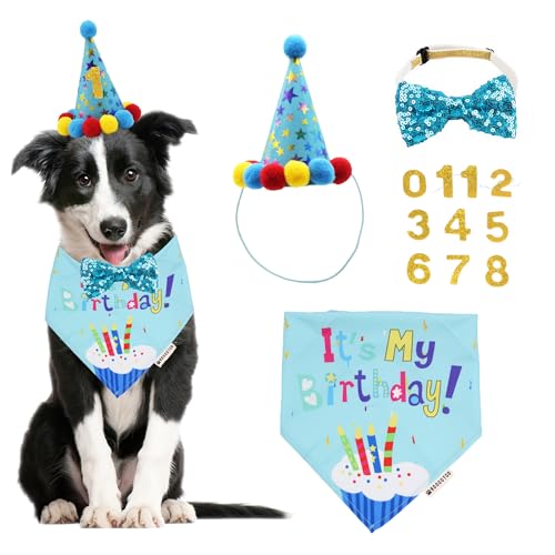 Ten SUPER FUN Ways to Celebrate Your Dog’s Birthday! ADOGGYGO Dog Birthday Bandana Scarf and Blue Boy Pet Birthday