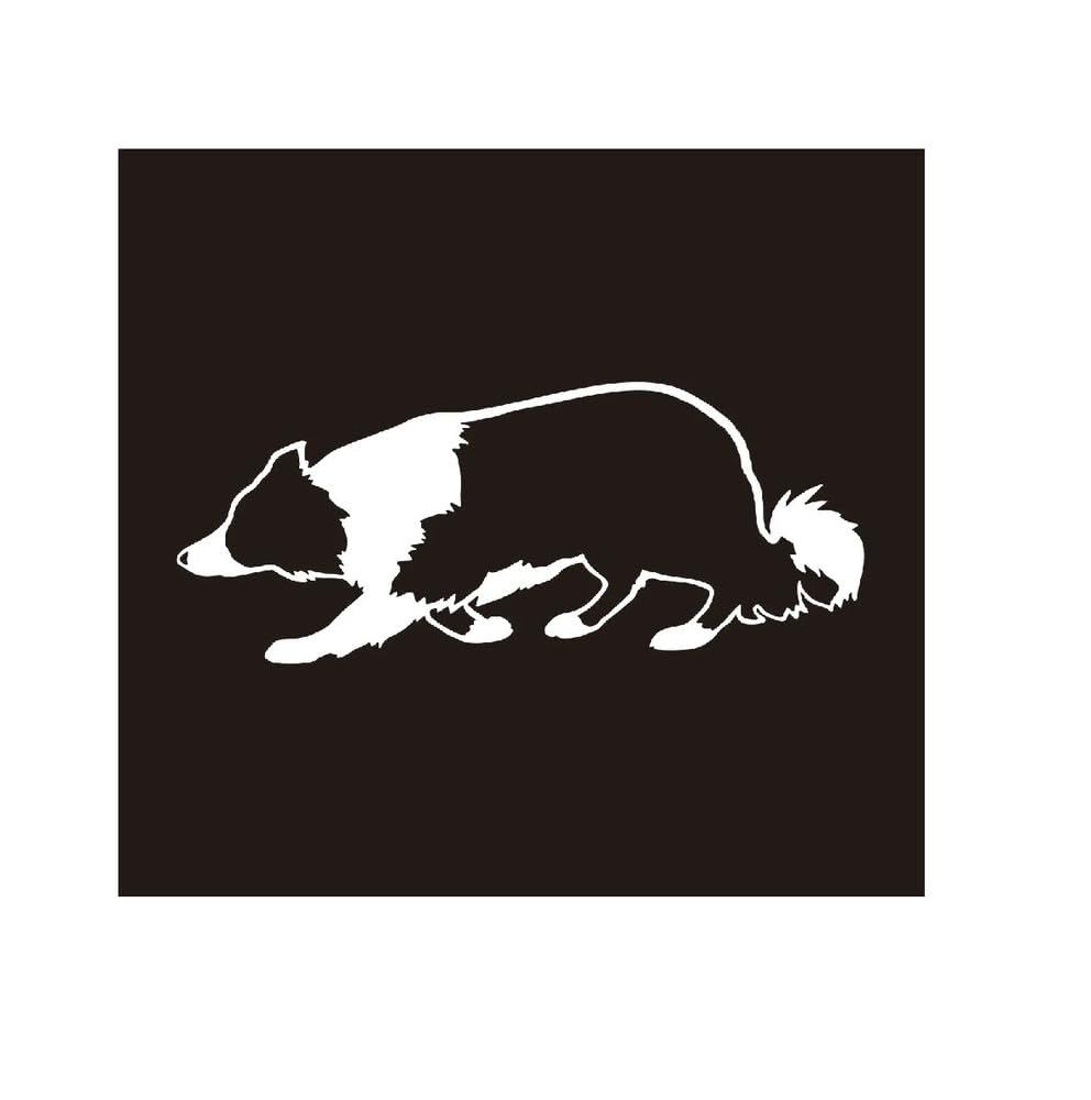 Border Collie Breed Sticker A Must Have Exterior Accessory for Dog Lovers(White,15cm)