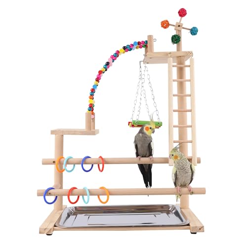 Dynaeuty Papagei Vogelspielplatz, Wellensittich Spielzeug, Parrot Playstand, Geeignet für Eclectus, Ara, Kakadu, Sittich (46x31x70cm)