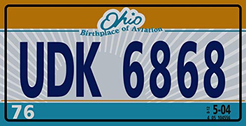 - Lot von 10 US-Metallkennzeichen – Nachbildungen echter amerikanischer Kennzeichen – V2