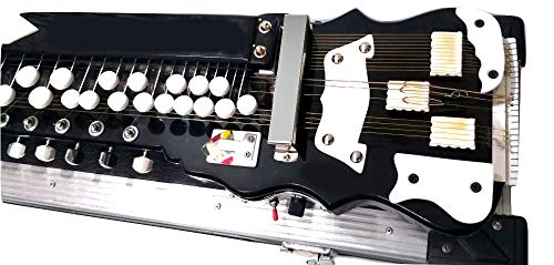 discountzworld KILLER BLACK SHAHI BAAJA INDIAN ELECTRIC BANJO DULCIMER KEYED GUITAR,HANDWOUND PICKUPS,HARDCASE,243AB
