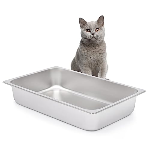 Kichwit Stainless Steel Cat Litter Box for Elderly Cats, Arthritic Cats, Small Kittens, Litter Pan for Hamsters Rabbits, Non Stick Smooth Surface, 21.1