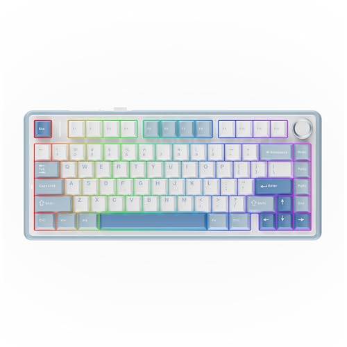 EPOMAKER x Aula F75 ゲーミングキーボード