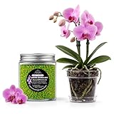 LiveLaif®- 150 gr Abono Orquideas NPK Liberacion Lenta 6 meses | Fertilizante Orquideas Crecimiento, Floracion y Salud Floral | Abono plantas | Fertilizante plantas | Bote con tapa (150 gr)