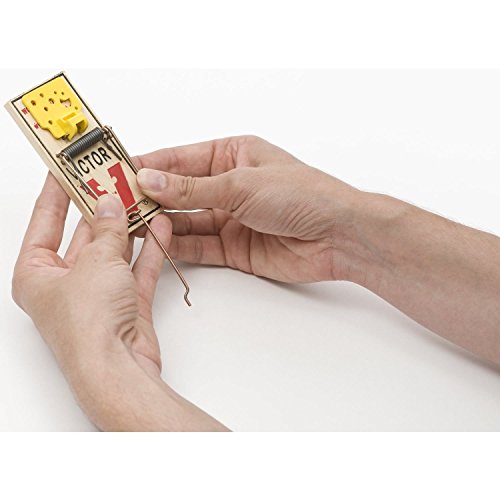 Image of VICTOR Easy Set Mouse Trap - 2Pk (Pack of 2)