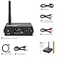 1Mii Hi-Fi Bluetooth Musik Receiver, Bluetooth 5.1 Empfänger mit audiophilem DAC/LDAC/AptX HD/Low Latency, Drahtloser Audio-Adapter für Stereoanlage, Verstärker, Optischen/RCA-Ausgängen -DS220