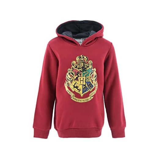 HARRY POTTER Niños Sudadera (Burdeos,12 años)