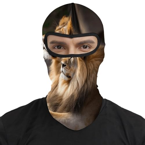 Máscara de esquí Two Lions para hombre, balaclava facial completa, transpirable, suave, resistente al viento, para bicicleta, conducción y montañismo miniatura 2