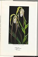 A Survey of the Slipper Orchids B0006C9UBC Book Cover