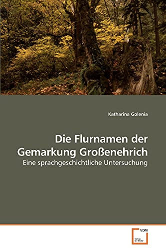 Die Flurnamen der Gemarkung Großenehrich: Eine sprachgeschichtliche Untersuchung