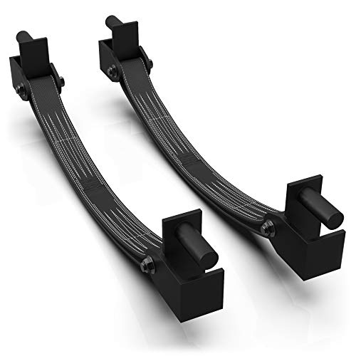 Synergee Safety Straps for Power Racks 750 lb Capacity Review: The ...