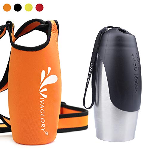 Vivaglory 25oz Stainless Steel Water Bottle for Large and Small Dogs and Orange