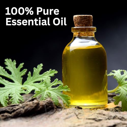 Image of Aroma Treasures Citronella Essential Oil | 100% Pure & Natural Theraputic Essential oil for healthy Skin, body, Aromatherapy - 10ml