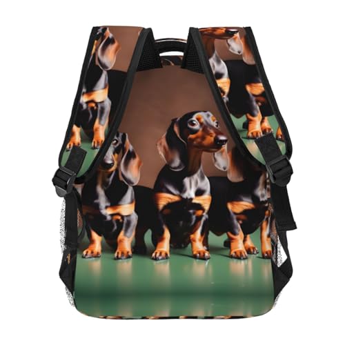 Mochila de senderismo Dachshund EdWal evita lluvia y suciedad portátil 4