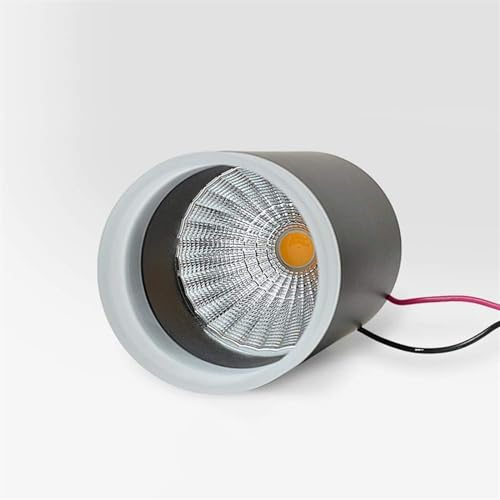 Spot LED COB orienté accentuation avec structure robuste en saillie - 5