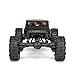 Redcat Racing Ascent-18 APEX, 1/18 Scale Brushless Electric Rock Crawler, Carbon Fiber, 4WD RC Car for Adults with 2.4GHz Radio System (Gray)