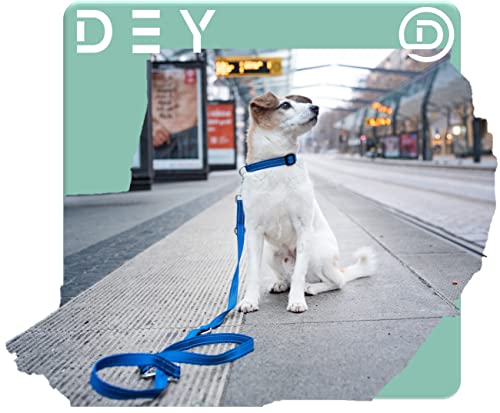 DEY - Premium Hundehalsband Nylon, Reflektierend, Verstellbar, für Kleine u. Große Hunde, viele Farben u. Größen, Hund Welpe, Hunde-Halsbänder, Katzen-Halsband, Welpen-Halsband, Grün, S