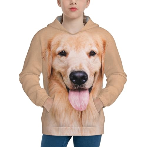 Golden Retriever Aesthetics Boy, Girls Sports Shirt Youth Pullover Fashion Hooded Sweatshirt3