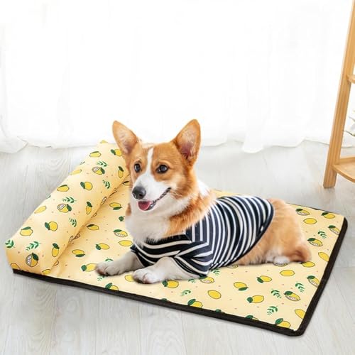 Dlwk ppxbhAybgppACXVNX[vPl}bgitjAhybg}bg\~߁i^j