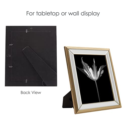 Mikasa 11 X 13 Inch Mirror Frame, Display 8 X 10 Photo, Gold Rope #TOP6