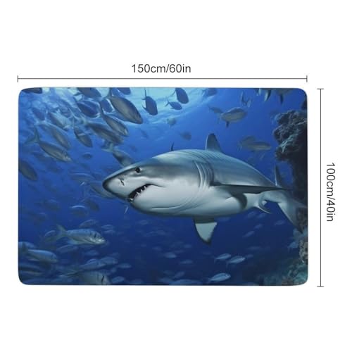 Tapis de chambre en velours de corail lavable pour une maison moderne