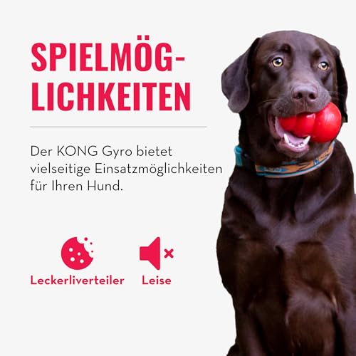 KONG Gyro - Interaktives Hundespielzeug mit Leckerlispender - Slow Feeder für Gesundes Fressen - Für Kleine Hunde