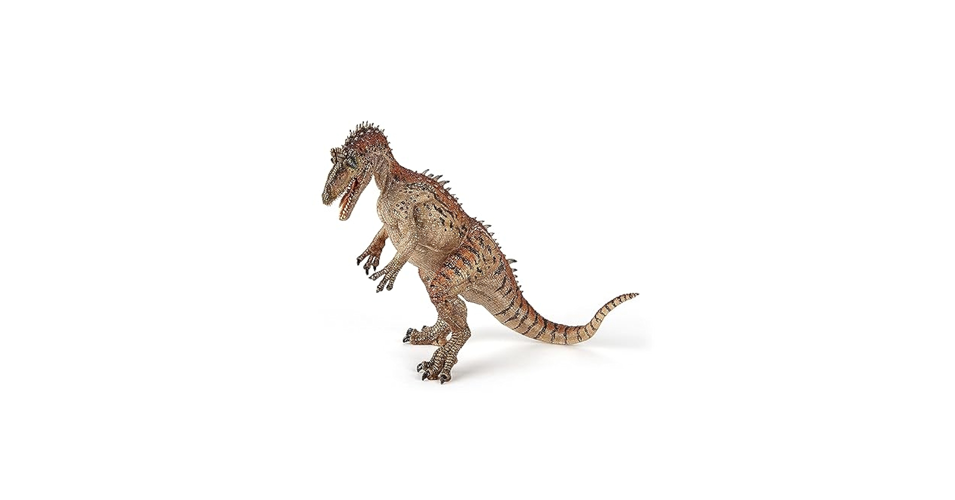 Papo(パポ)ケラトサウルス PVC PA55061 dwos6rj Amazon.com: Papo - Hand-Painted - Dinosaurs - Ceratosaurus
