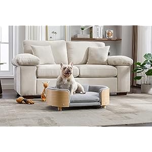   Scandinavian-Style-Elevated-Dog-Bed-Pet-Sofa-with-Solid-Wood-Legs-and-Bent-Wood-Back-Velvet-CushionMid-Size-Light-Grey