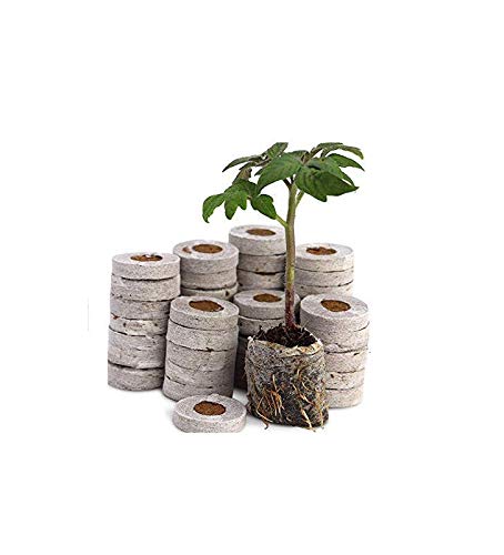 BAZODO Coco Peat Coins for Seed Germination- Hydrophonics Pack of 10 Coins-image-27