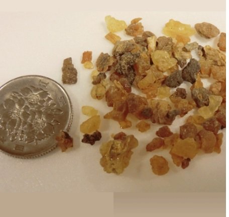 ミルラ 没薬 天然樹脂香 KUA MYRRH コミフォラ・クア・ミルラ・ソコトラ ミルラ 没薬 天然樹脂香 KUA MYRRH コミフォラ・クア・ミルラ・ソコトラ