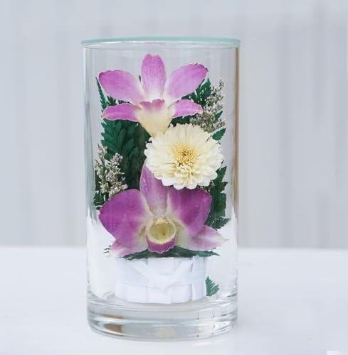 hCt[ KXAW z()~j1 Dryflower glass arrangement p r ~ ފ
