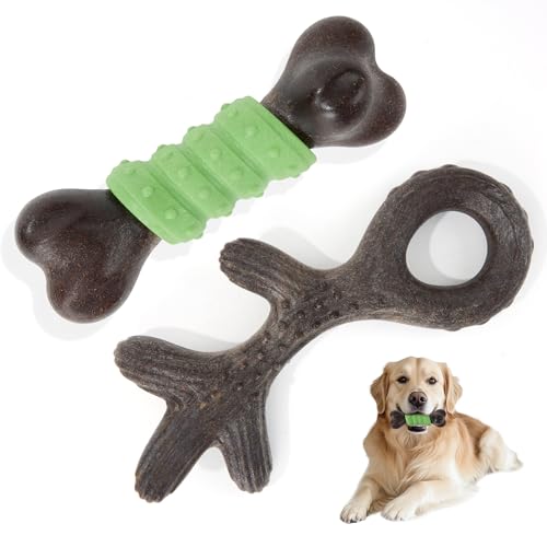 Gardner Pet 2-Pack Dog Chew Toy, Long Lasting Interactive Dog Toys Add Shredded Coconut Nylon+TPR, Teeth Cleaning and Training Toy for Medium/Large Breed,Bacon Flavor(Antler-L+Bone-L)