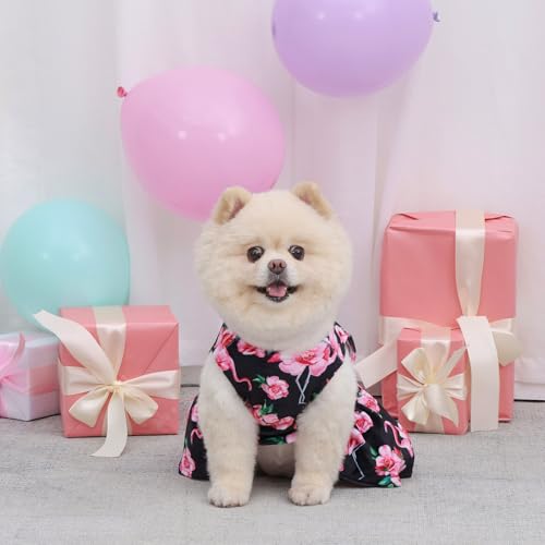 Robe en velours pour petits chiens au tissu doux et confortable
