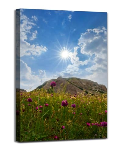 Mount top above green plain flowers at the sunny day